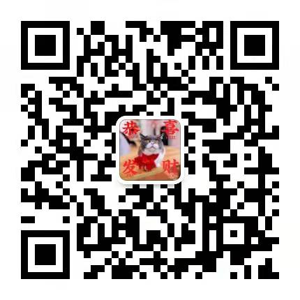 1640077480861446.jpg