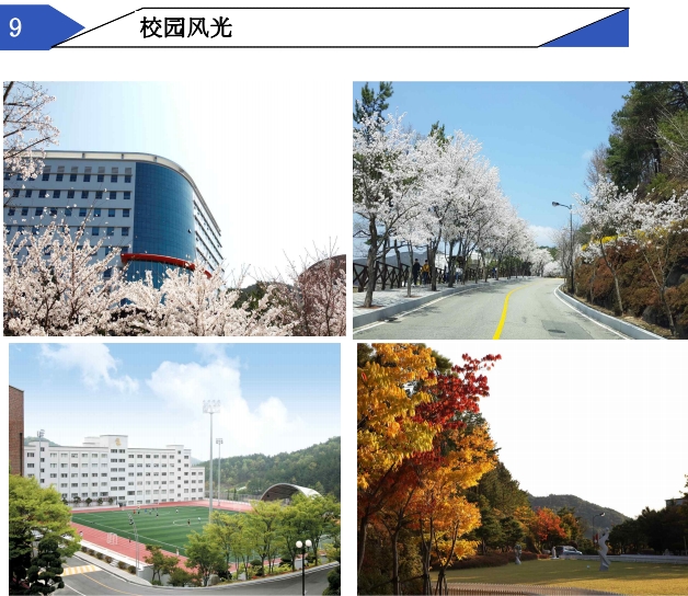 庆云大学2.png